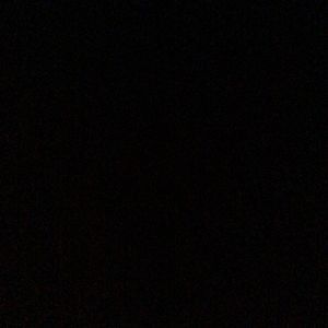 Meet your Posher, Rose